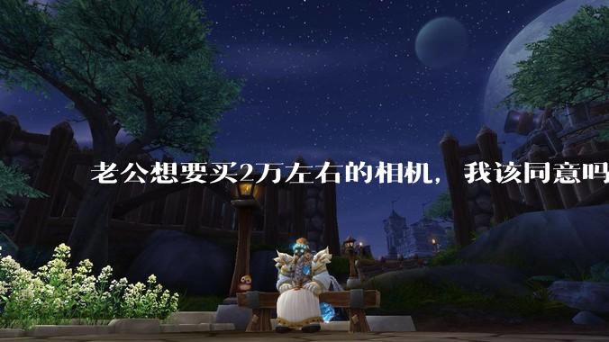 老公想要买2万左右的相机，我该同意吗？