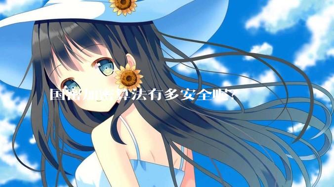 国密加密算法有多安全呢？