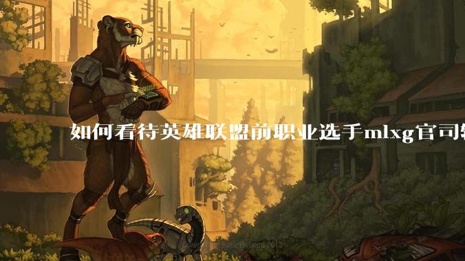 如何看待英雄联盟前职业选手mlxg官司输了，被强制执行2500w？