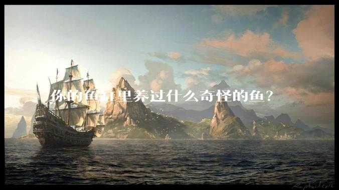 你的鱼缸里养过什么奇怪的鱼？