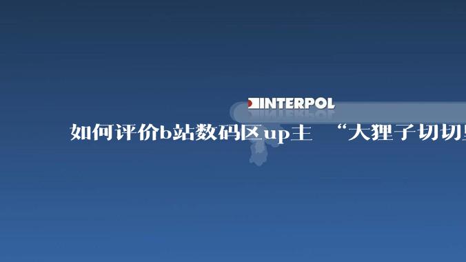 如何评价b站数码区up主 “大狸子切切里”?