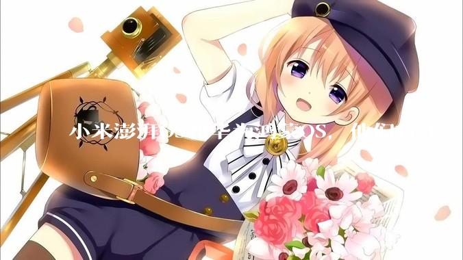 小米澎湃OS和华为鸿蒙OS，他们有什么不一样，谁更有发展前途？